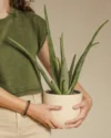 A woman's hands gently holding a small potted plant, symbolizing hope and new beginnings in health