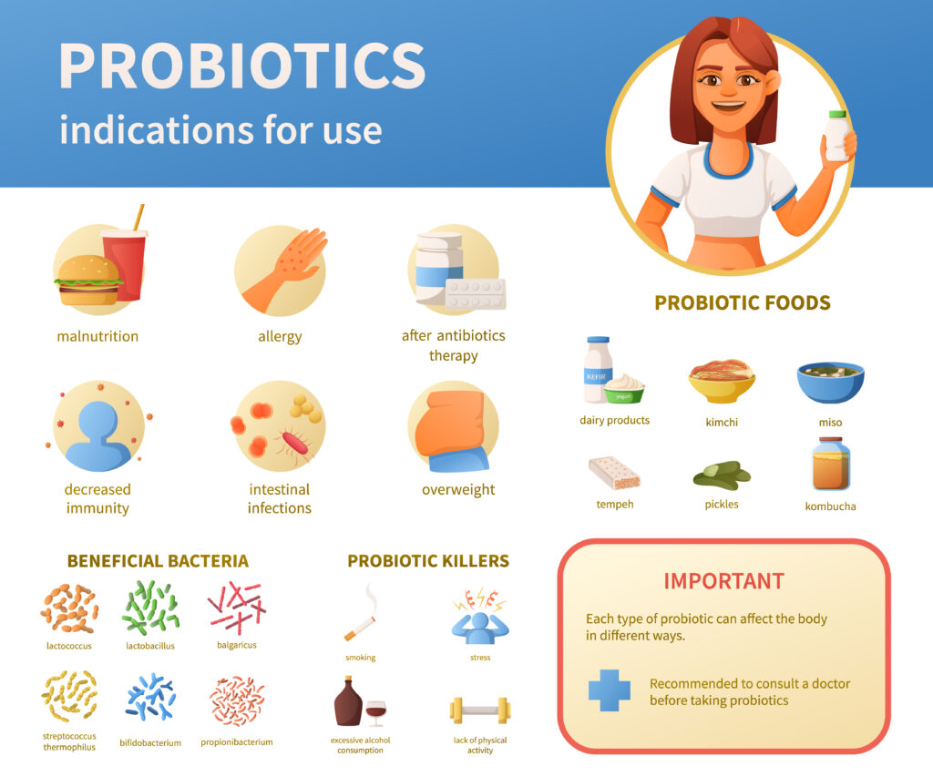 Probiotics infographics cartoon set of round icons with text captions, categories and realistic images of bacteria vector illustration